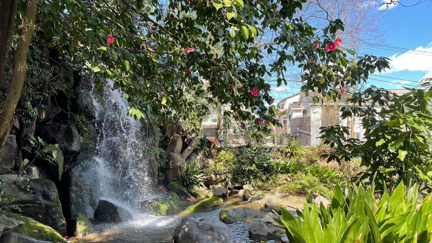 Tokyo – Oji Wellness Tour: Oji Shrine & Asukayama Park (Nov. 2, 2025) – Guided Tour in English