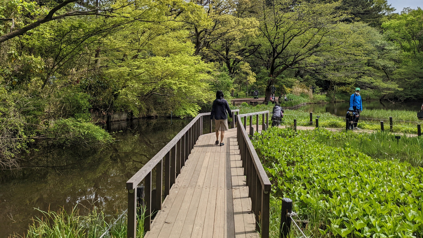 Tokyo – Garden Art Museum & Nature Education Garden Wellness Tour (Nov. 22, 2025) – Guided Tour in English