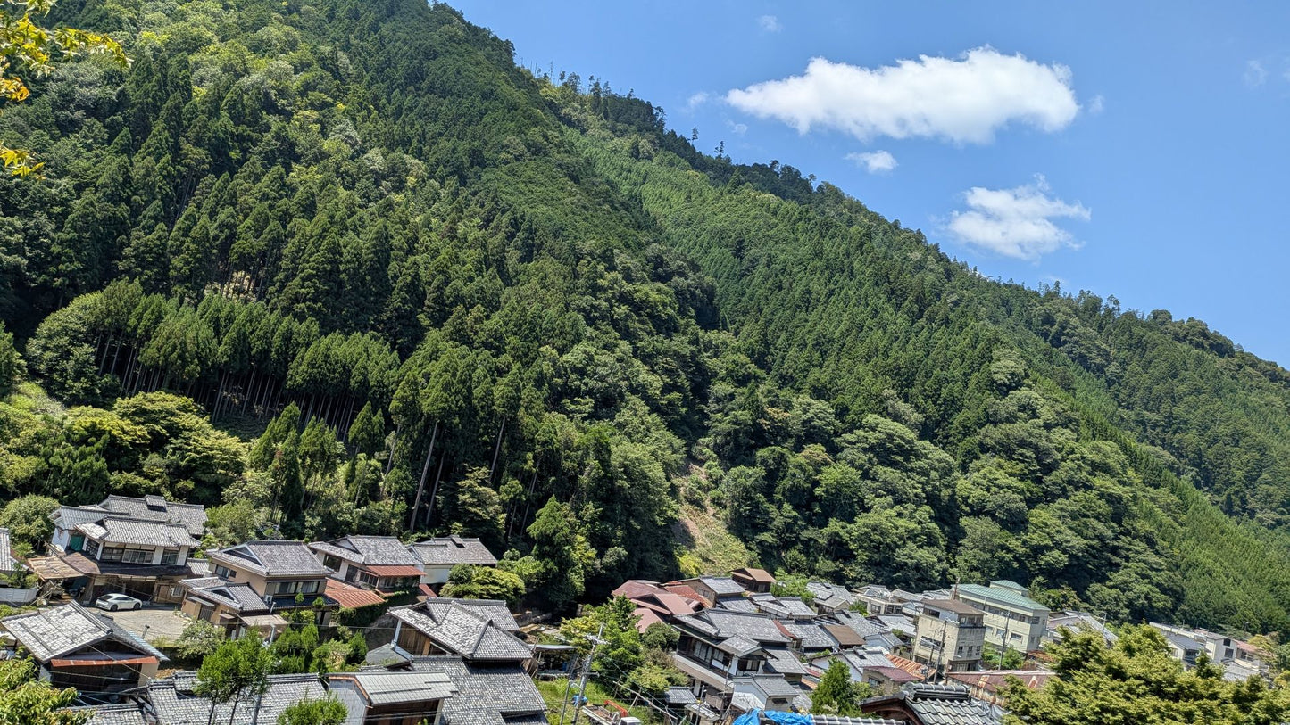 【Expo Special Tour】Keihoku :Village Walk & Forest Bathing in Kitayama Cedar Country (Oct. 25, 2025) – Guided Tour (in English)
