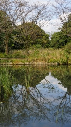 Tokyo – Garden Art Museum & Nature Education Garden Wellness Tour (Dec. 13, 2025) – Guided Tour in English