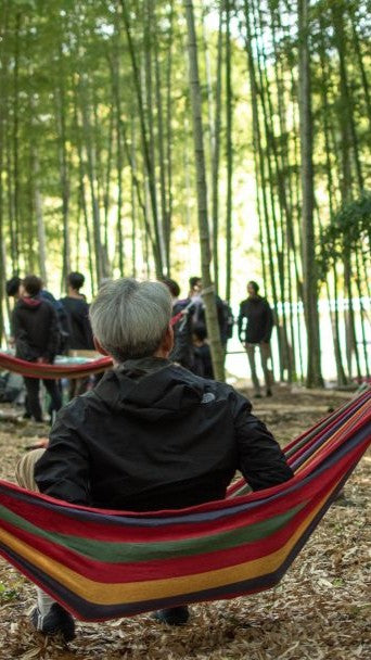 Kyoto – Nishikyo, Otokuni: Peaceful Moments in the Bamboo Grove (Oct. 26, 2025) – Guided Tour in English