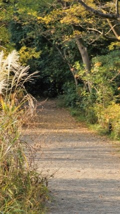 【2025Autumn🍁】Tokyo – Garden Art Museum & Nature Education Garden Wellness Tour (Nov. 22, 2025) – Guided Tour in English