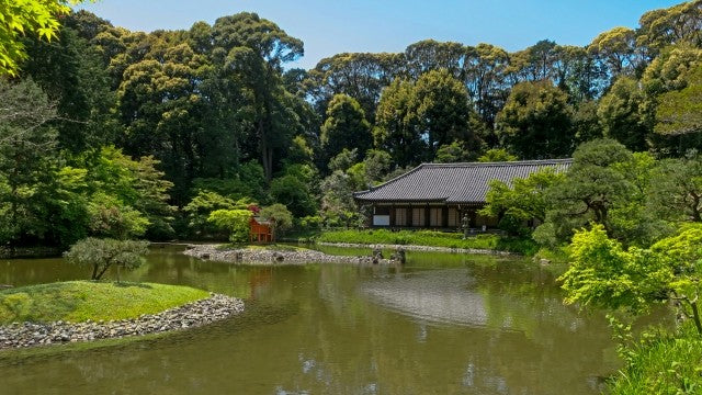 【2026年春🌸】当尾の石仏めぐり＆森林浴（2026年3月29日）‐日本語ガイド　