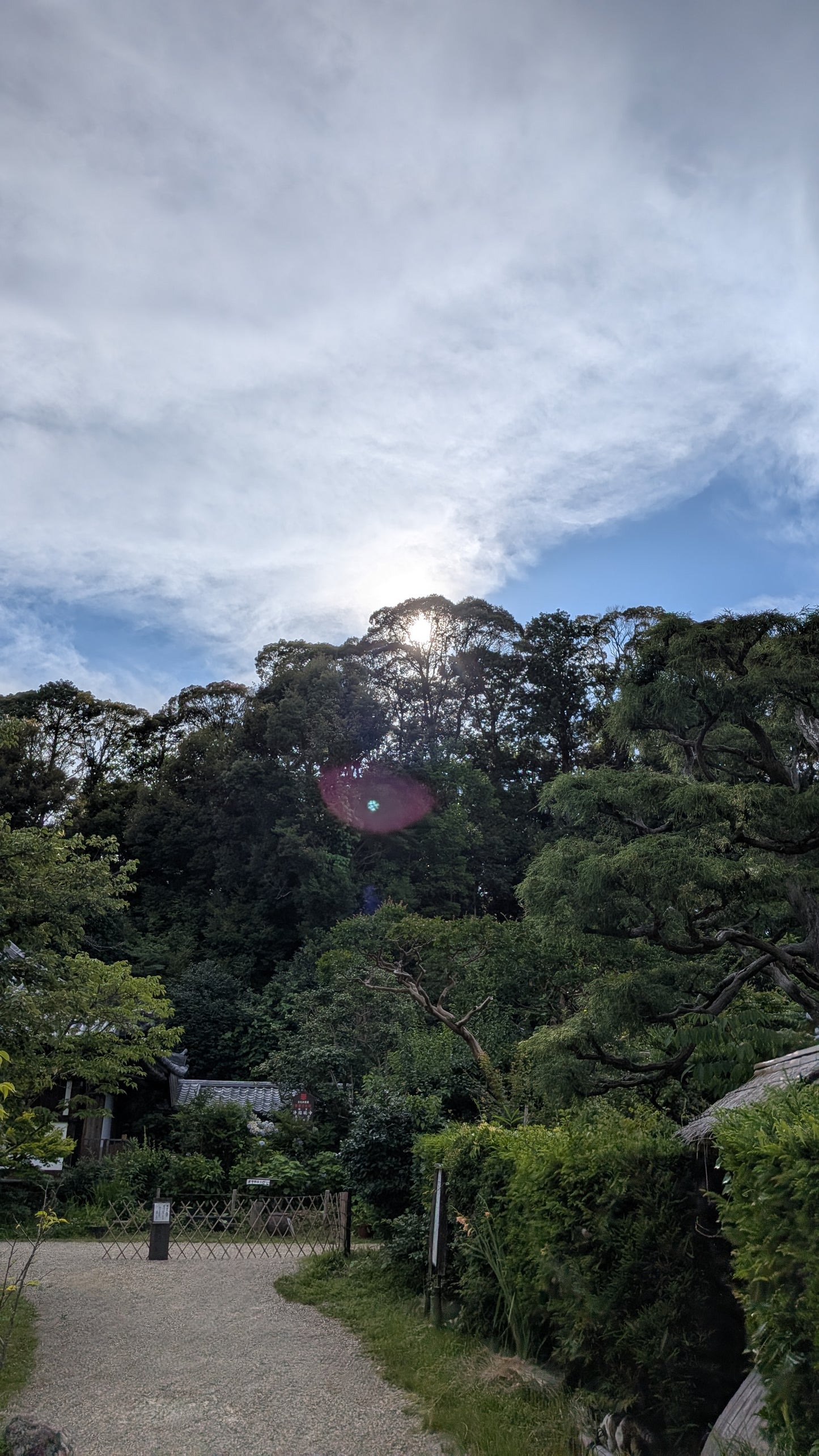 【2026年春🌸】当尾の石仏めぐり＆森林浴（2026年3月29日）‐日本語ガイド　