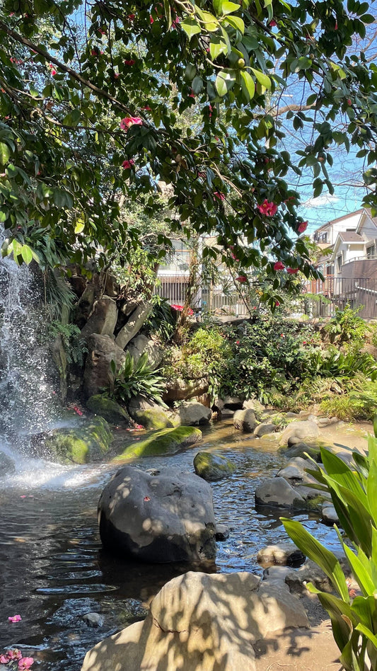 【2025Autumn🍁】Tokyo – Oji Wellness Tour: Oji Shrine & Asukayama Park (Dec. 11, 2025) – Guided Tour in English