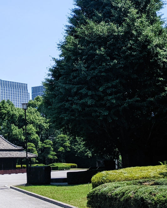 Imperial Palace