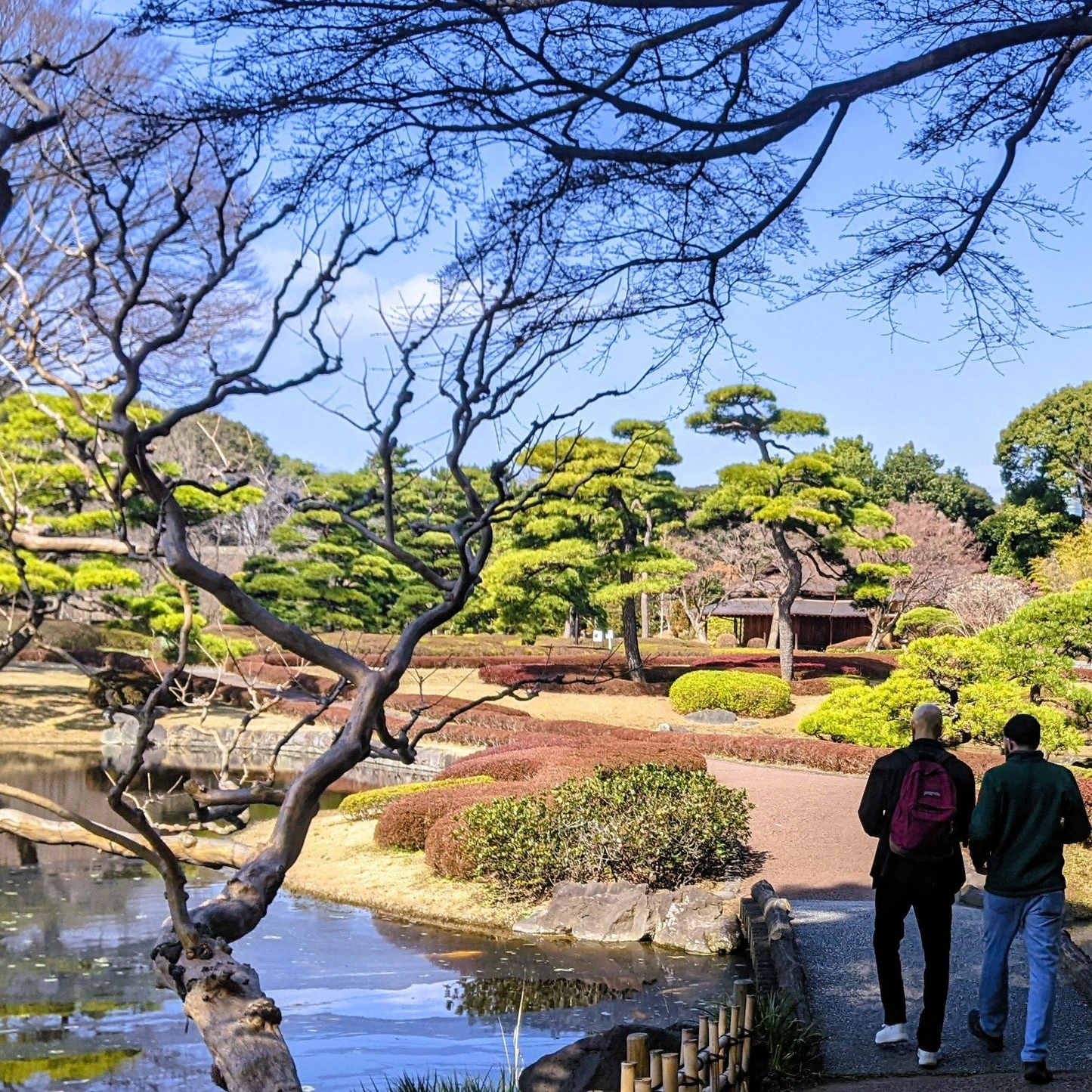 【2026 Autumn🍁】Urban Forest Calm: A Wellness Experience at the Imperial Palace East Gardens, Tokyo (September. 21, 2026)