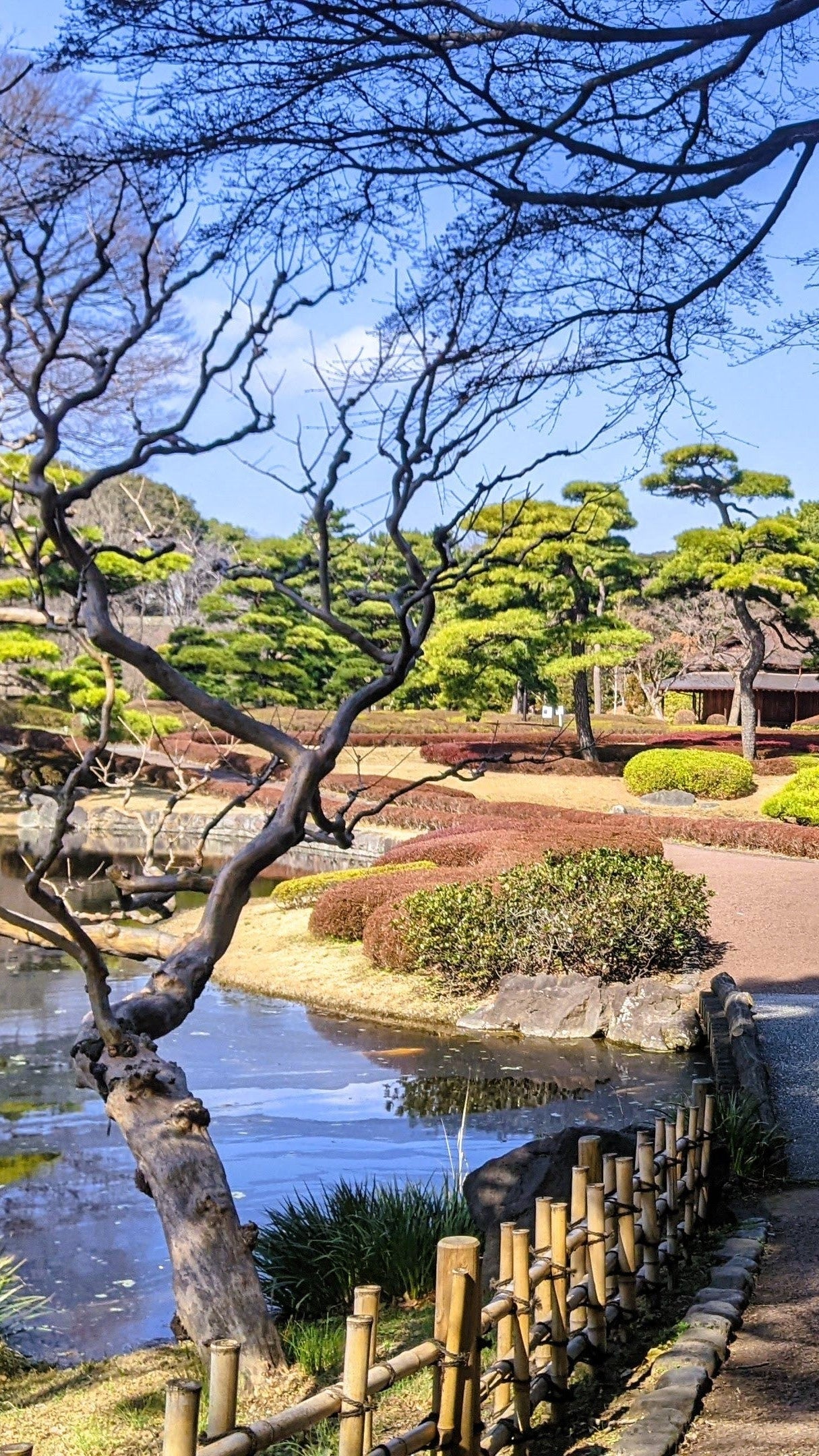 【2026 Autumn🍁】Urban Forest Calm: A Wellness Experience at the Imperial Palace East Gardens, Tokyo (Oct. 18, 2026)
