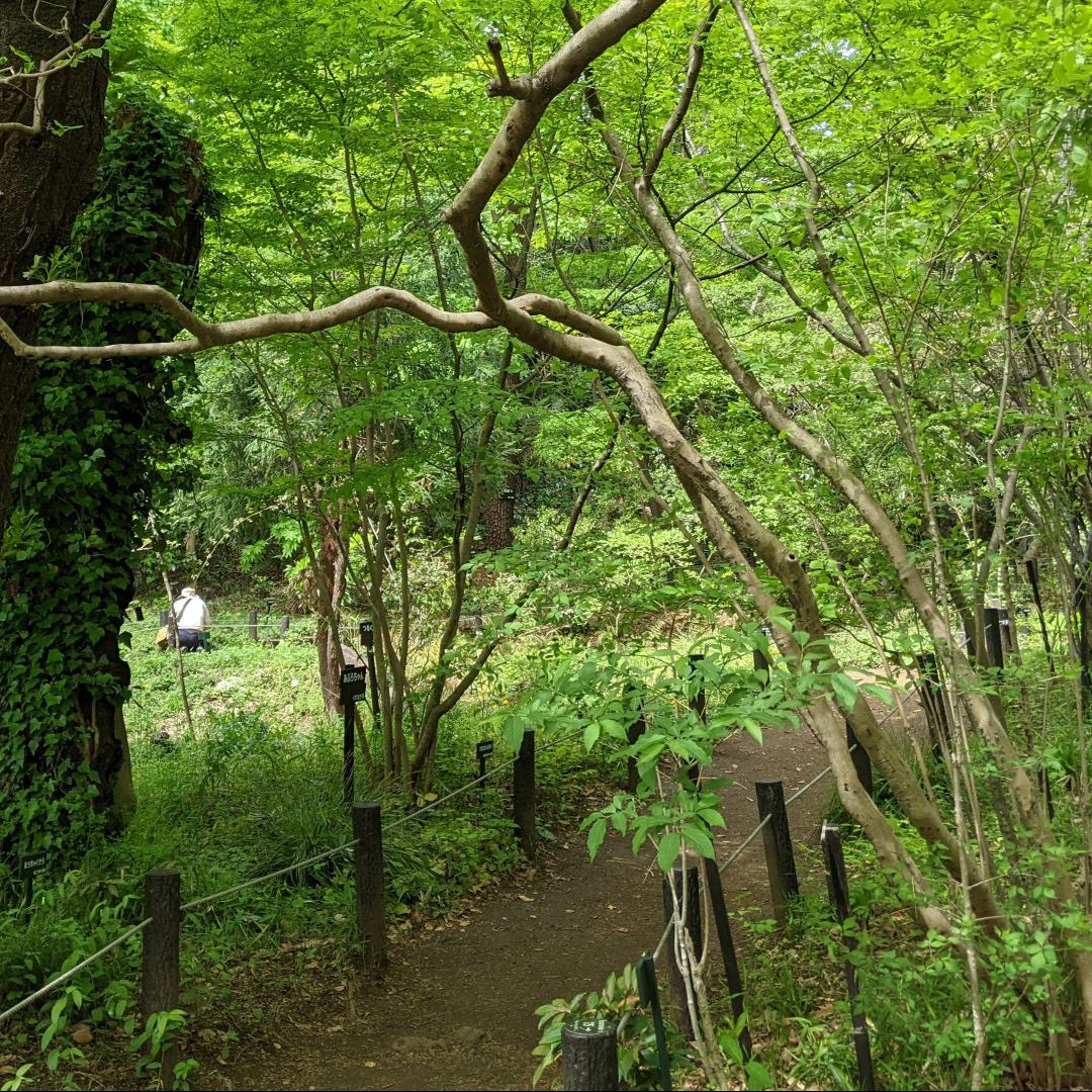Institute_for_Nature_Study