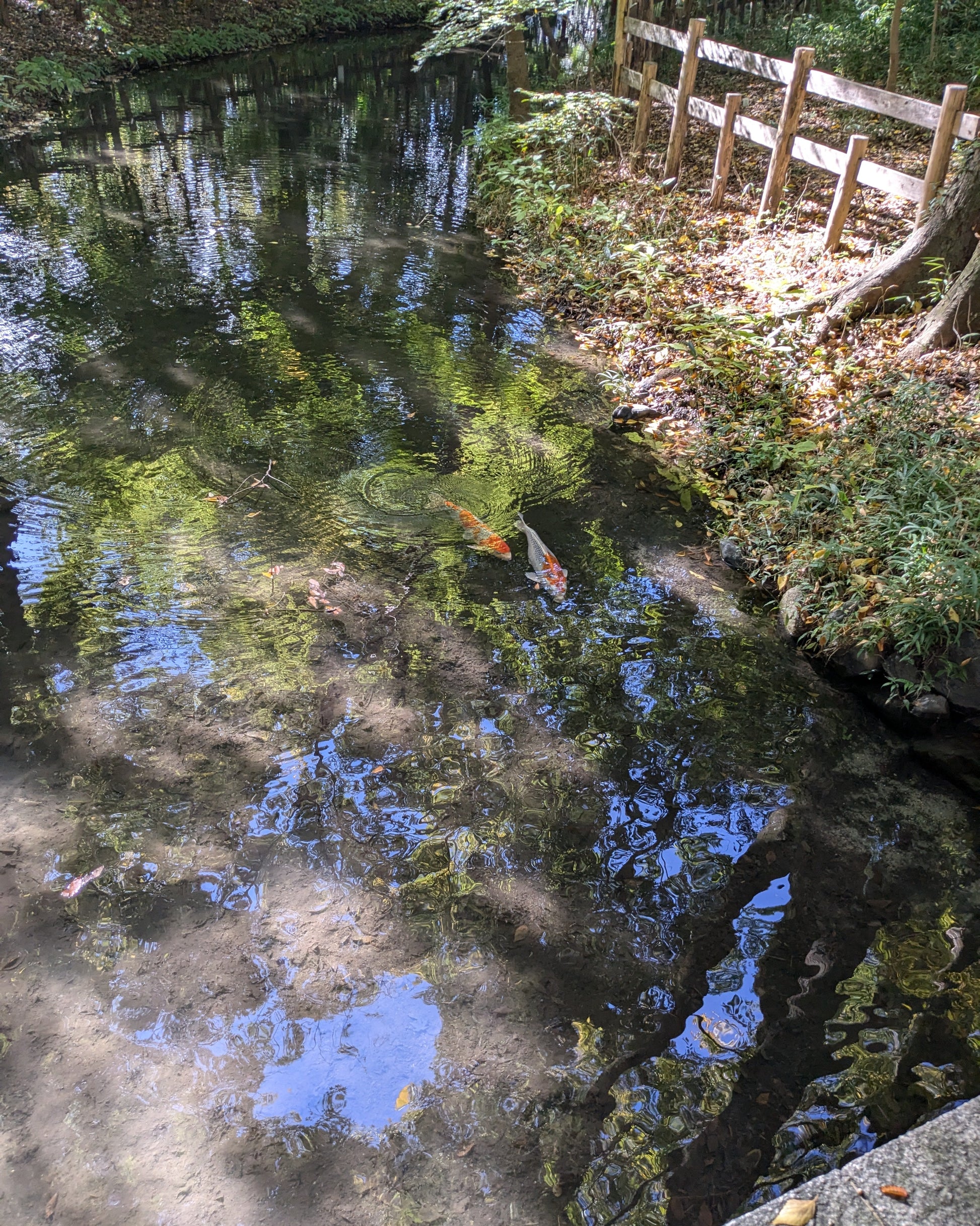 Kyoto