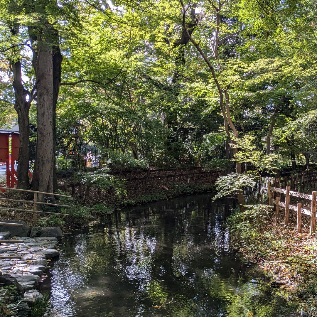 Kyoto