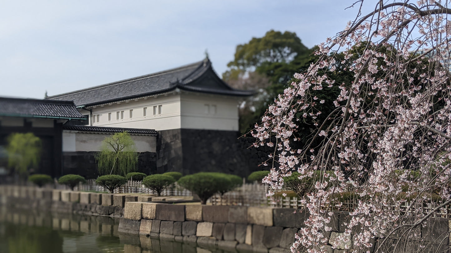 【2026Spring🌸】Tokyo Imperial Palace Higashi Gyoen, Wellness Tour with Lunch – Walk and Relax (Mar. 8, 2026) – Guided Tour in English
