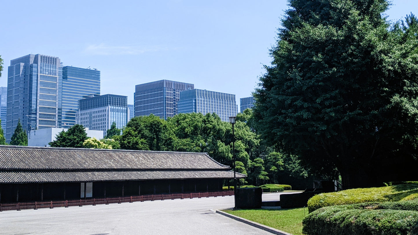 【2026Spring🌸】Tokyo Imperial Palace Higashi Gyoen, Wellness Tour with Lunch – Walk and Relax (Mar. 8, 2026) – Guided Tour in English