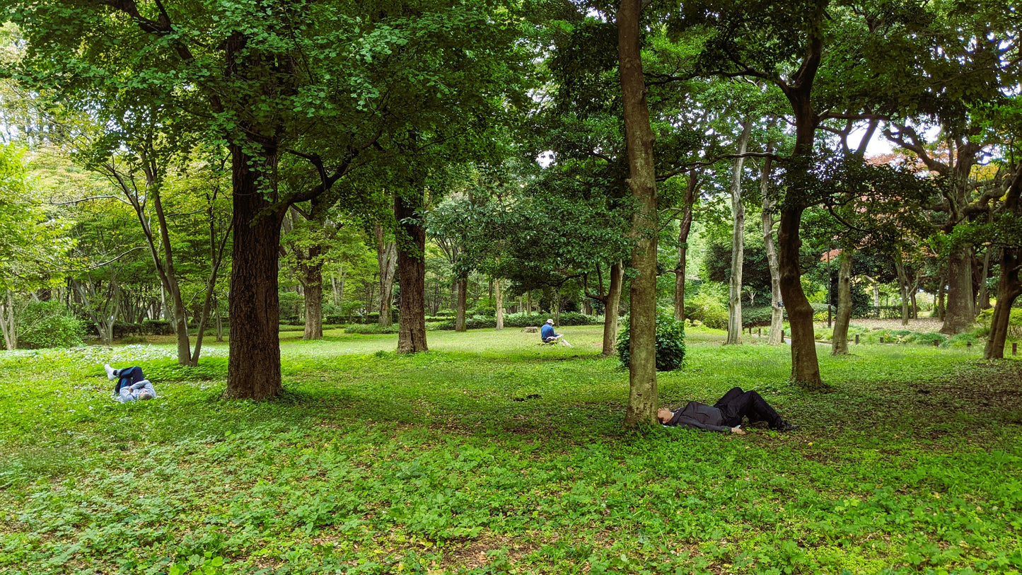 【2026Spring🌸】Tokyo Imperial Palace Higashi Gyoen, Wellness Tour with Lunch – Walk and Relax (Mar. 8, 2026) – Guided Tour in English