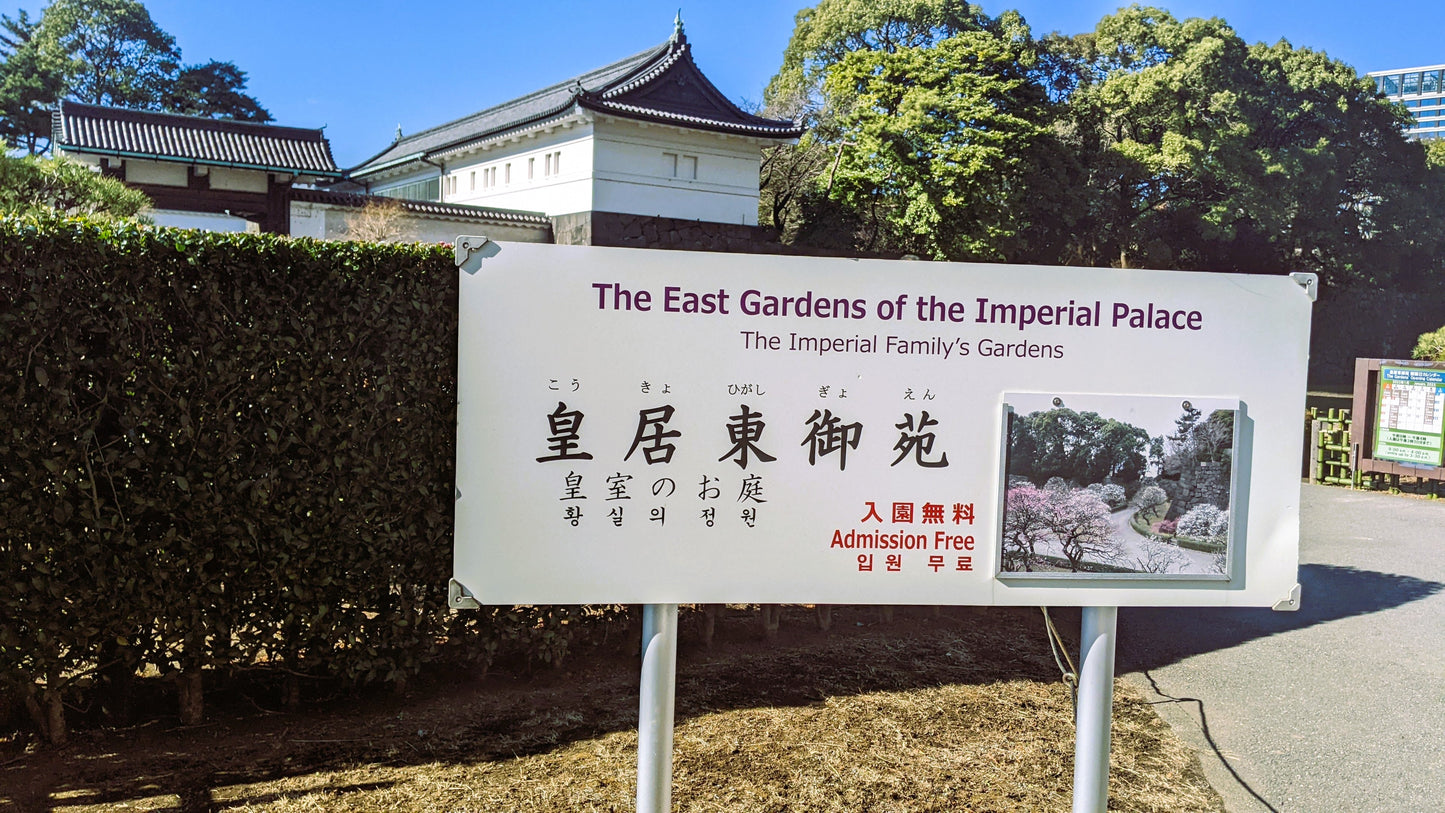 【2026Spring🌸】Tokyo Imperial Palace Higashi Gyoen, Wellness Tour with Lunch – Walk and Relax (Mar. 8, 2026) – Guided Tour in English