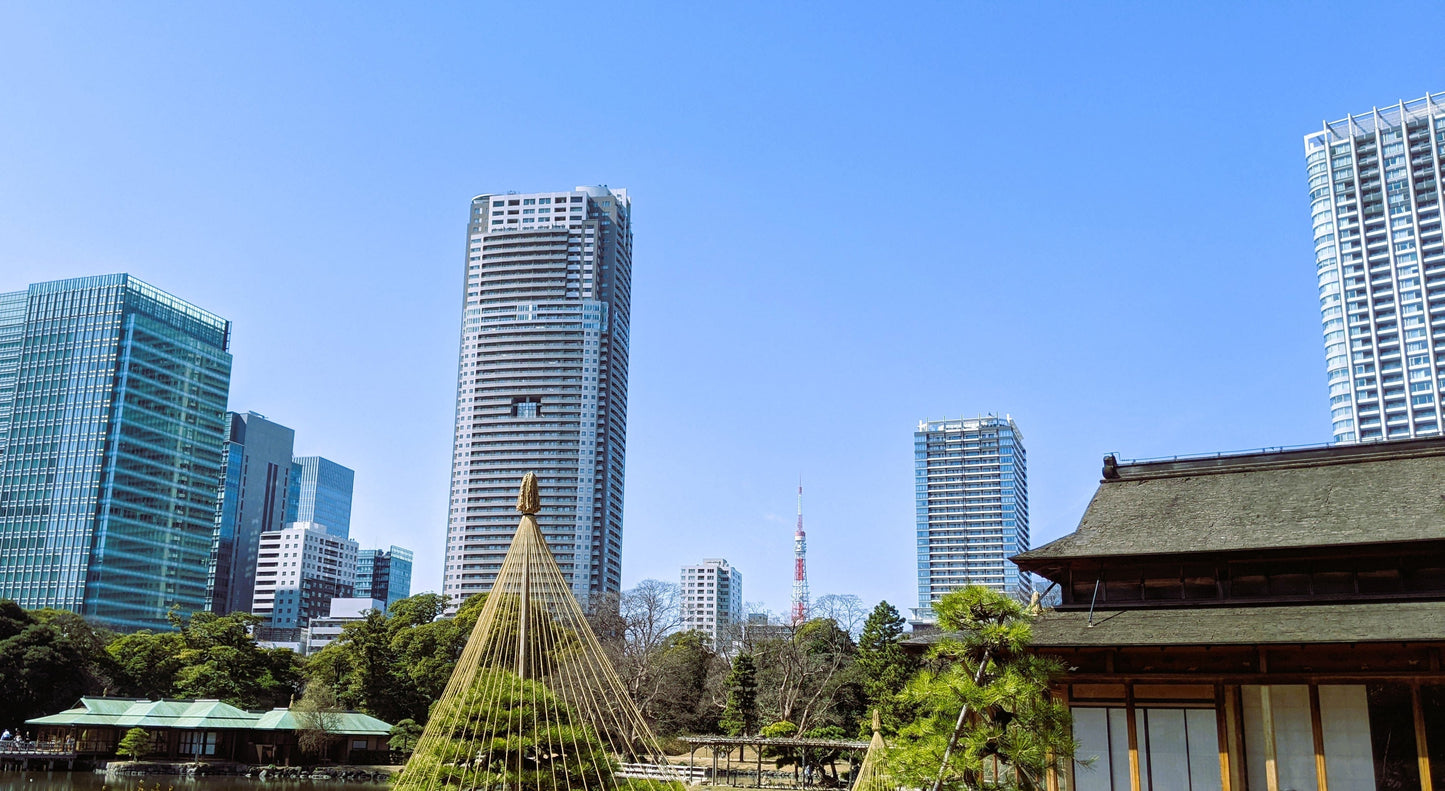 【2026Spring🌸】Tokyo‐ Tsukiji & Hamarikyu, Gardens Wellness Tour with Lunch– Walk and Relax (Mar. 7, 2026) – Guided Tour in English