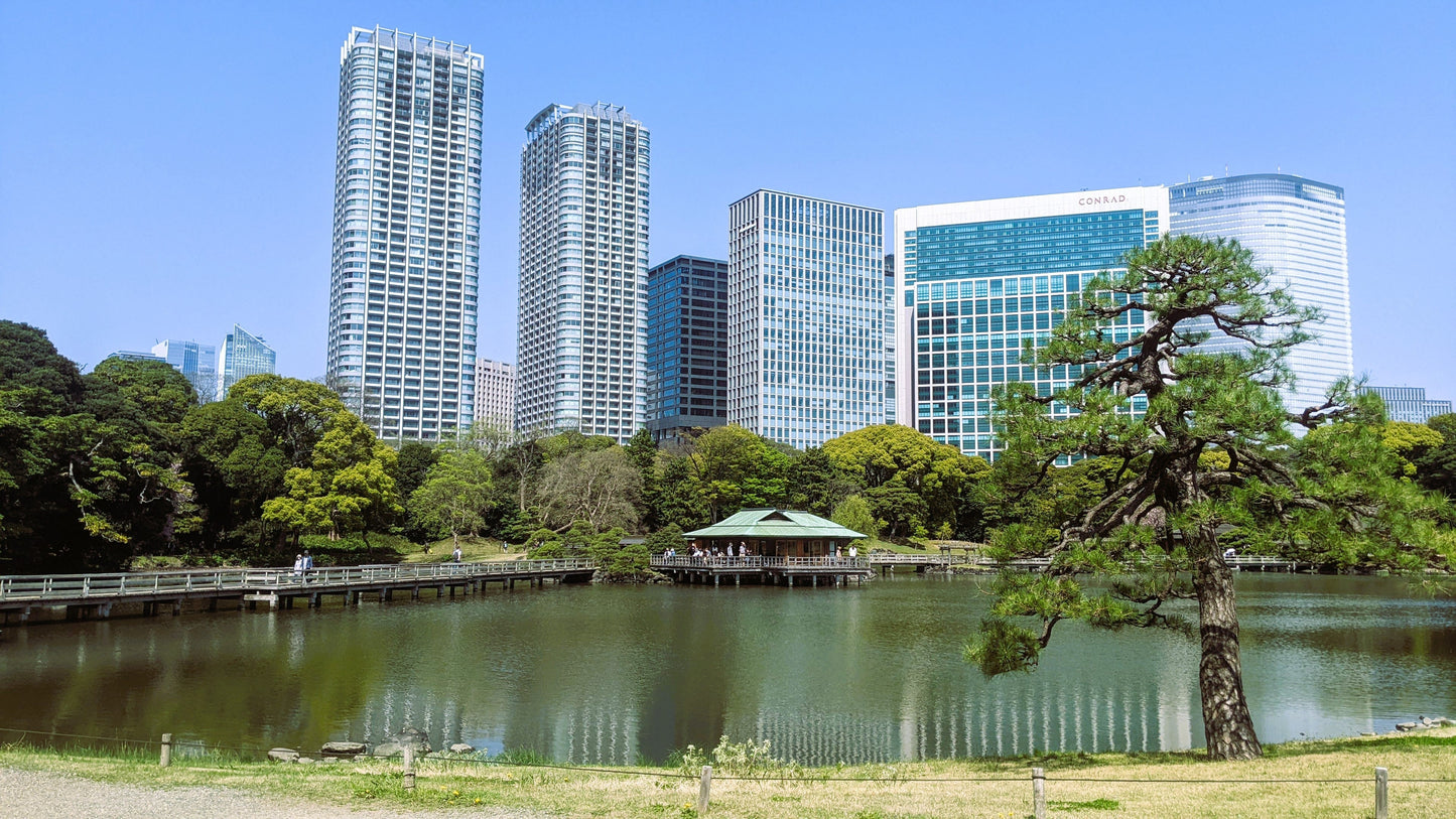 【2026Spring🌸】Tokyo‐ Tsukiji & Hamarikyu, Gardens Wellness Tour with Lunch– Walk and Relax (Mar. 8, 2026) – Guided Tour in English