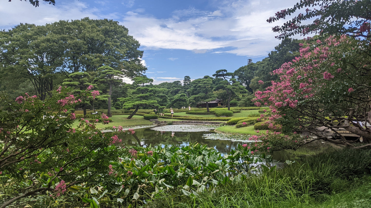 【2026Spring🌸】Tokyo Imperial Palace Higashi Gyoen, Wellness Tour with Lunch – Walk and Relax (Mar. 8, 2026) – Guided Tour in English