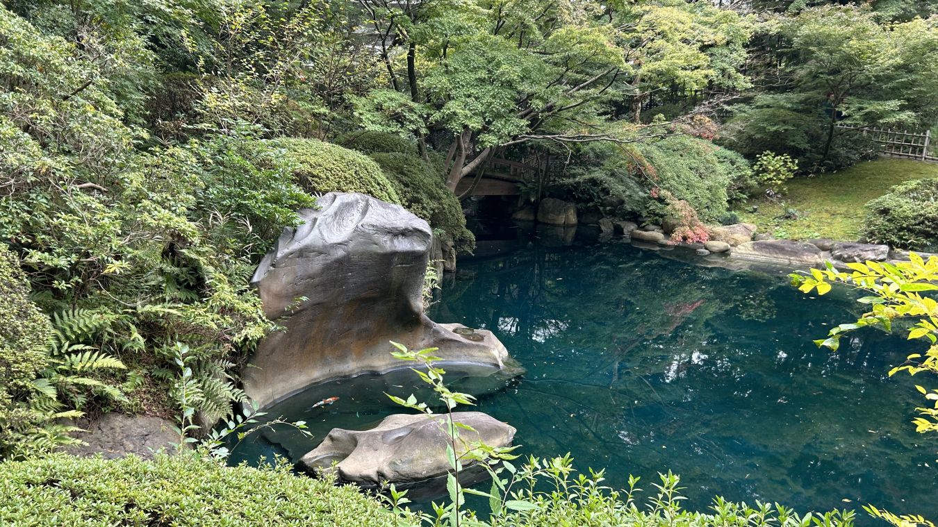 【2026Spring🌸】Institute for Nature Study × Tokyo Metropolitan Teien Art Museum Wellness Experience (Jun 20, 2026)