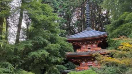 【2026Spring🌸】Kyoto Tea Country : Exploring the Stone Buddhas of Tono with Forest Bathing (Mar. 28, 2026) – Guided Tour (in English)