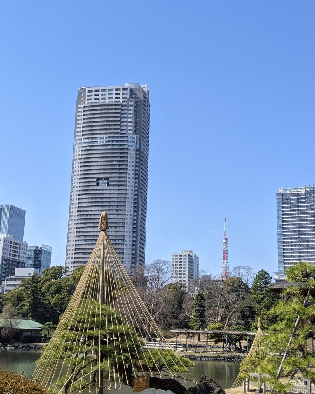 【2026 Spring 🌸】Hamarikyu Wellness Experience – Sea, Silence & a Shogun’s Garden (Jun, 21, 2026)