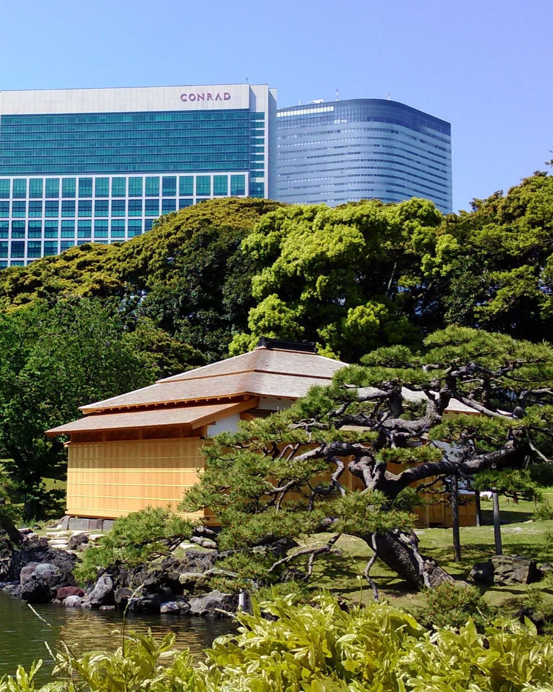 【2026 Autumn🍁】Hamarikyu Wellness Experience – Sea, Silence & a Shogun's Garden (Oct 10, 2026)