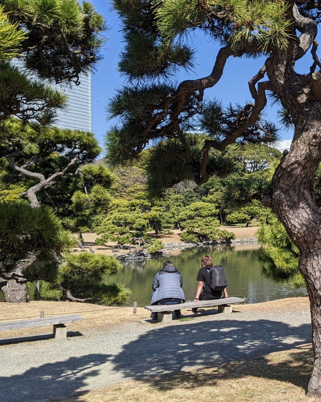 【2026 Autumn🍁】Hamarikyu Wellness Experience – Sea, Silence & a Shogun's Garden (Oct 10, 2026)