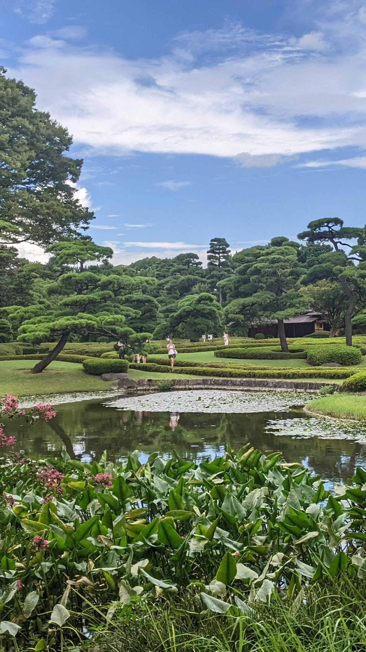 【2026 Autumn🍁】Urban Forest Calm: A Wellness Experience at the Imperial Palace East Gardens, Tokyo (Oct. 18, 2026)