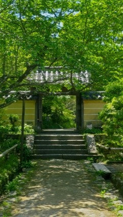 【2026Spring🌸】Kyoto Tea Country : Exploring the Stone Buddhas of Tono with Forest Bathing (Mar. 21, 2026) – Guided Tour (in English)