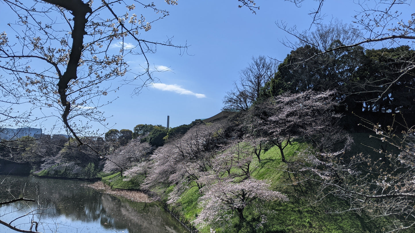 【2026Spring🌸】Tokyo Imperial Palace Higashi Gyoen, Wellness Tour with Lunch – Walk and Relax (Mar. 8, 2026) – Guided Tour in English