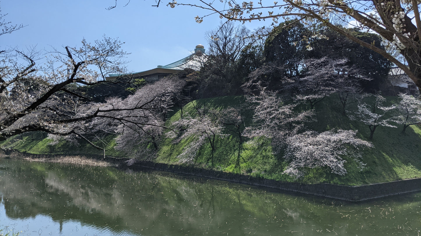 【2026Spring🌸】Tokyo Imperial Palace Higashi Gyoen, Wellness Tour with Lunch – Walk and Relax (Mar. 8, 2026) – Guided Tour in English