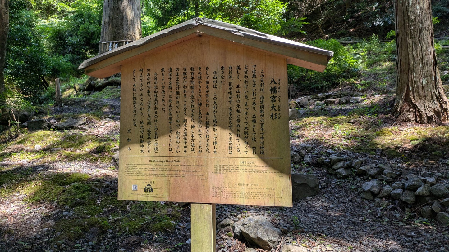 【大阪・関西万博記念ツアー】北山杉の里中川の集落めぐり＆森林浴（日本語ガイド）