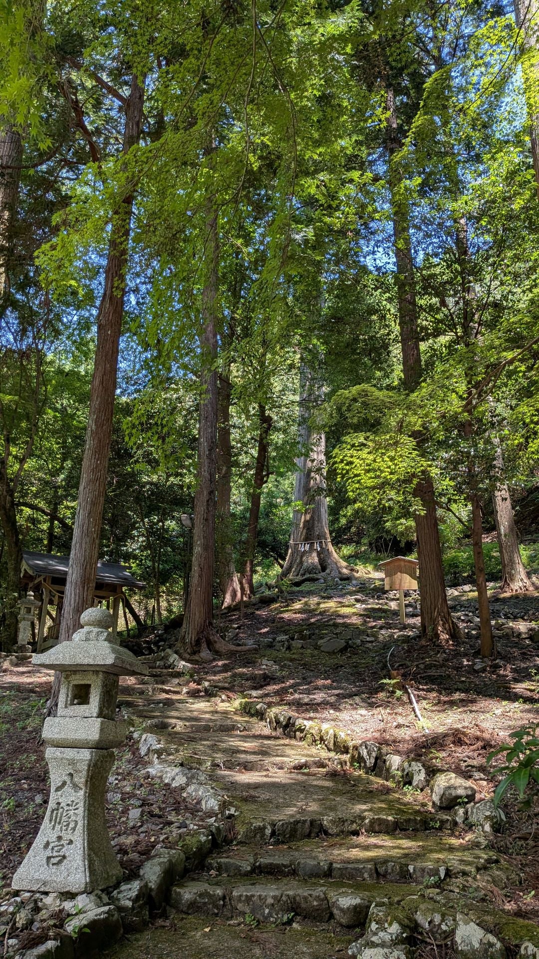 【大阪・関西万博記念ツアー】北山杉の里中川の集落めぐり＆森林浴（日本語ガイド）