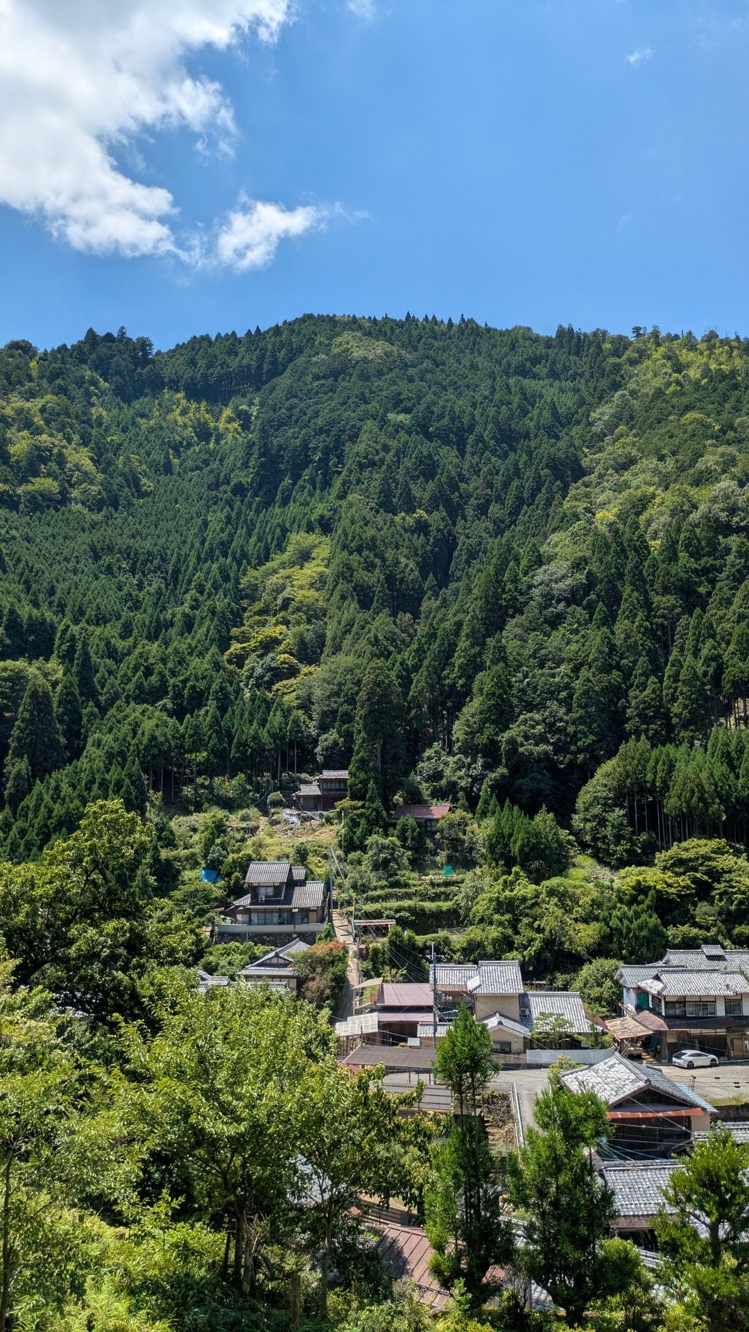 【大阪・関西万博記念ツアー】北山杉の里中川の集落めぐり＆森林浴（日本語ガイド）