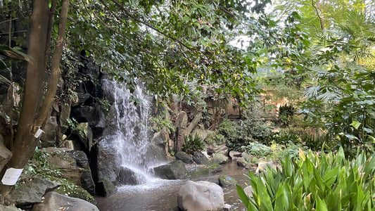 Tokyo – Oji Wellness Tour: Asukayama Park & Oji Shrine (Oct. 30, 2025) – Guided Tour in English