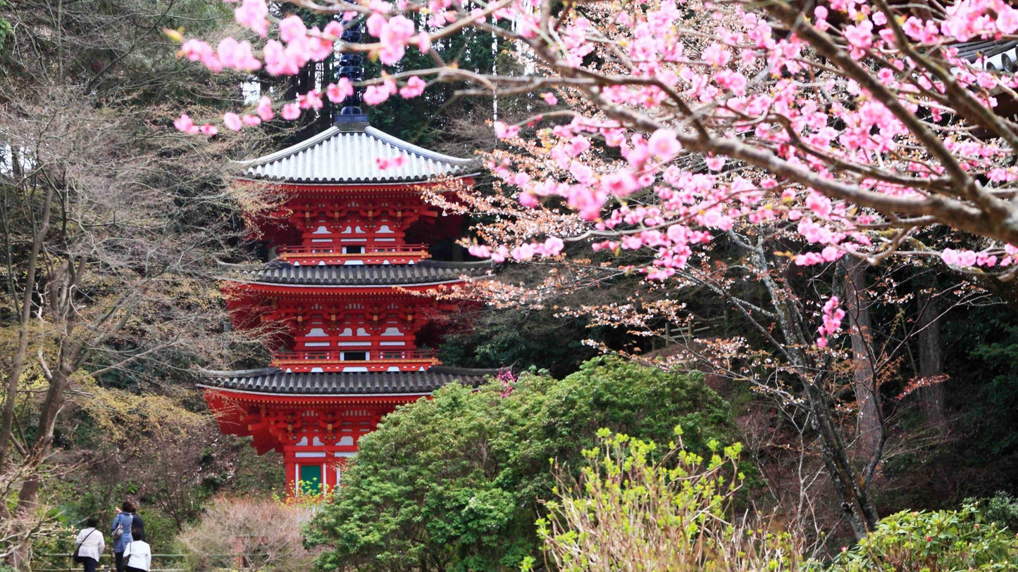 【2026年春🌸】当尾の石仏めぐり＆森林浴（2026年3月29日）‐日本語ガイド　