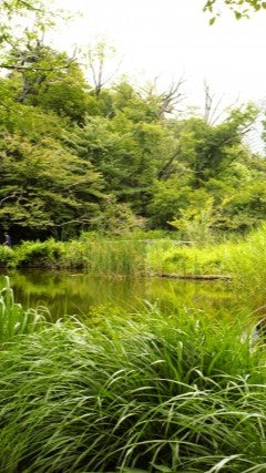 【2025Autumn🍁】Tokyo – Garden Art Museum & Nature Education Garden Wellness Tour (Nov. 8, 2025) – Guided Tour in English