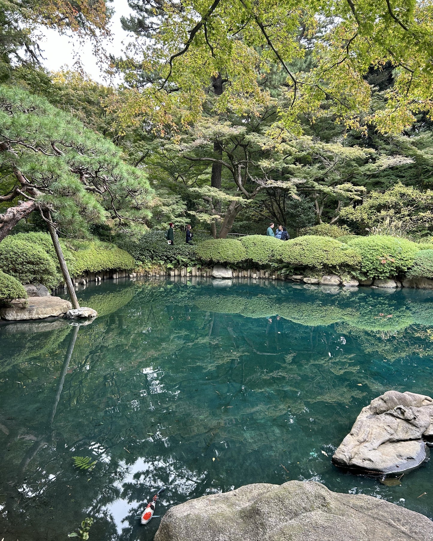 【2026Spring🌸】Institute for Nature Study × Tokyo Metropolitan Teien Art Museum Wellness Experience (May 30, 2026)