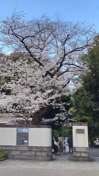 【2026Spring🌸】Tokyo – Garden Art Museum & Nature Education Garden Wellness Tour (Apr. 4, 2026) – Guided Tour in English