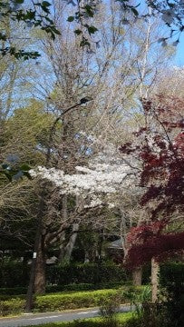 【2026Spring🌸】Tokyo – Garden Art Museum & Nature Education Garden Wellness Tour (Mar. 21, 2026) – Guided Tour in English