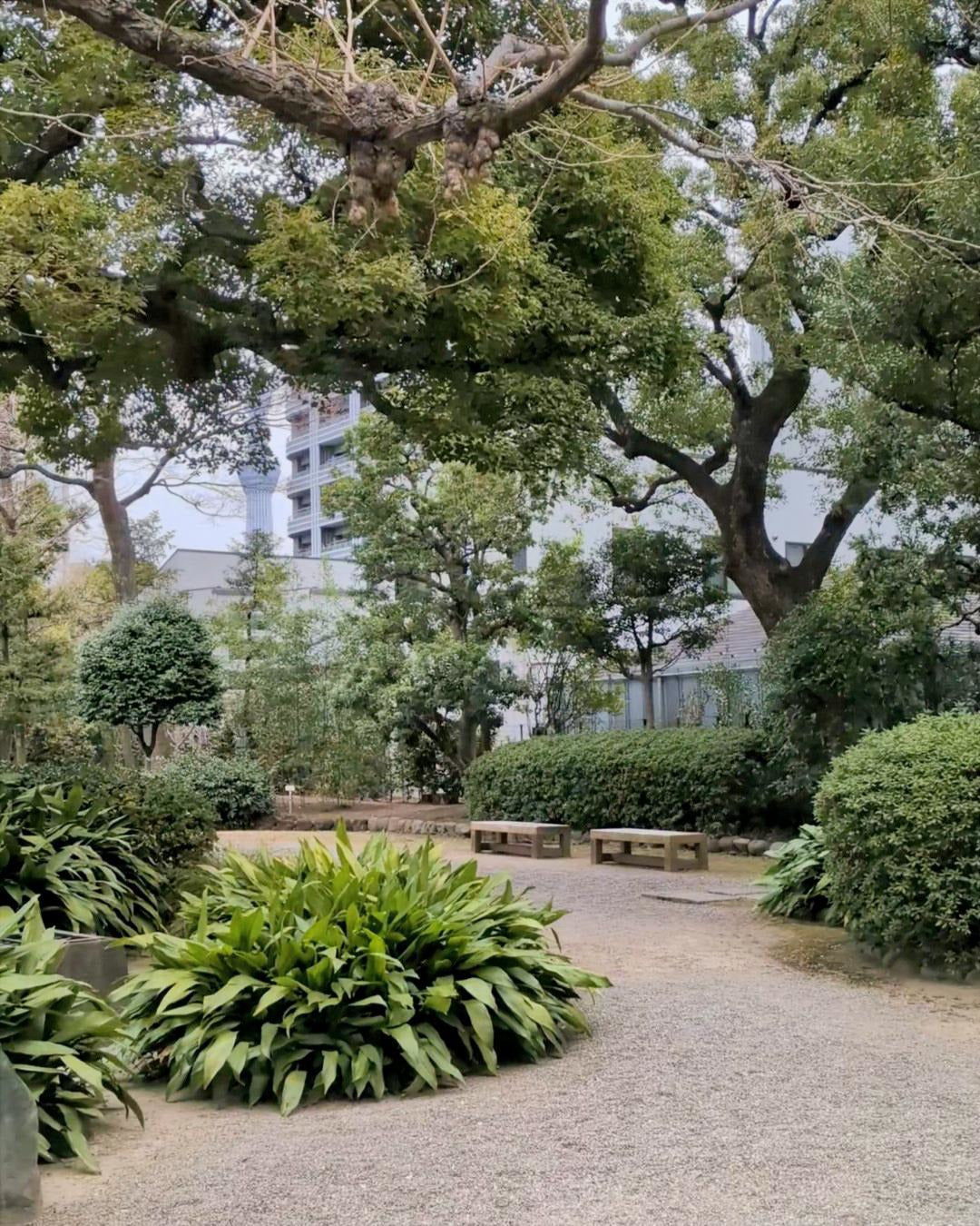 【2026Spring🌸】Yasuda Garden × Edo-Tokyo Museum  Wellness Experience (Apr. 26, 2026)