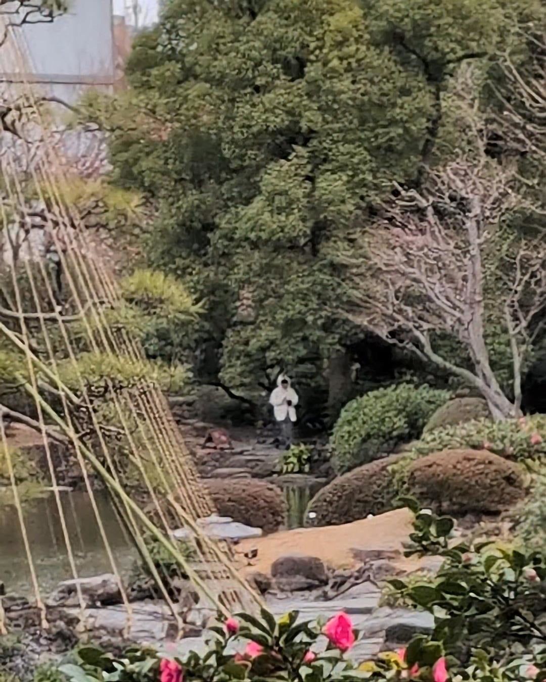 【2026Spring🌸】Yasuda Garden × Edo-Tokyo Museum  Wellness Experience (Apr. 26, 2026)