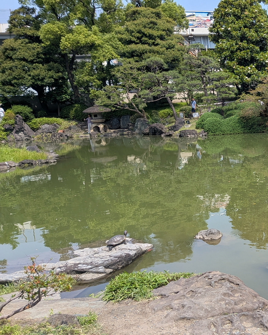 Kyu-Yasuda Garden